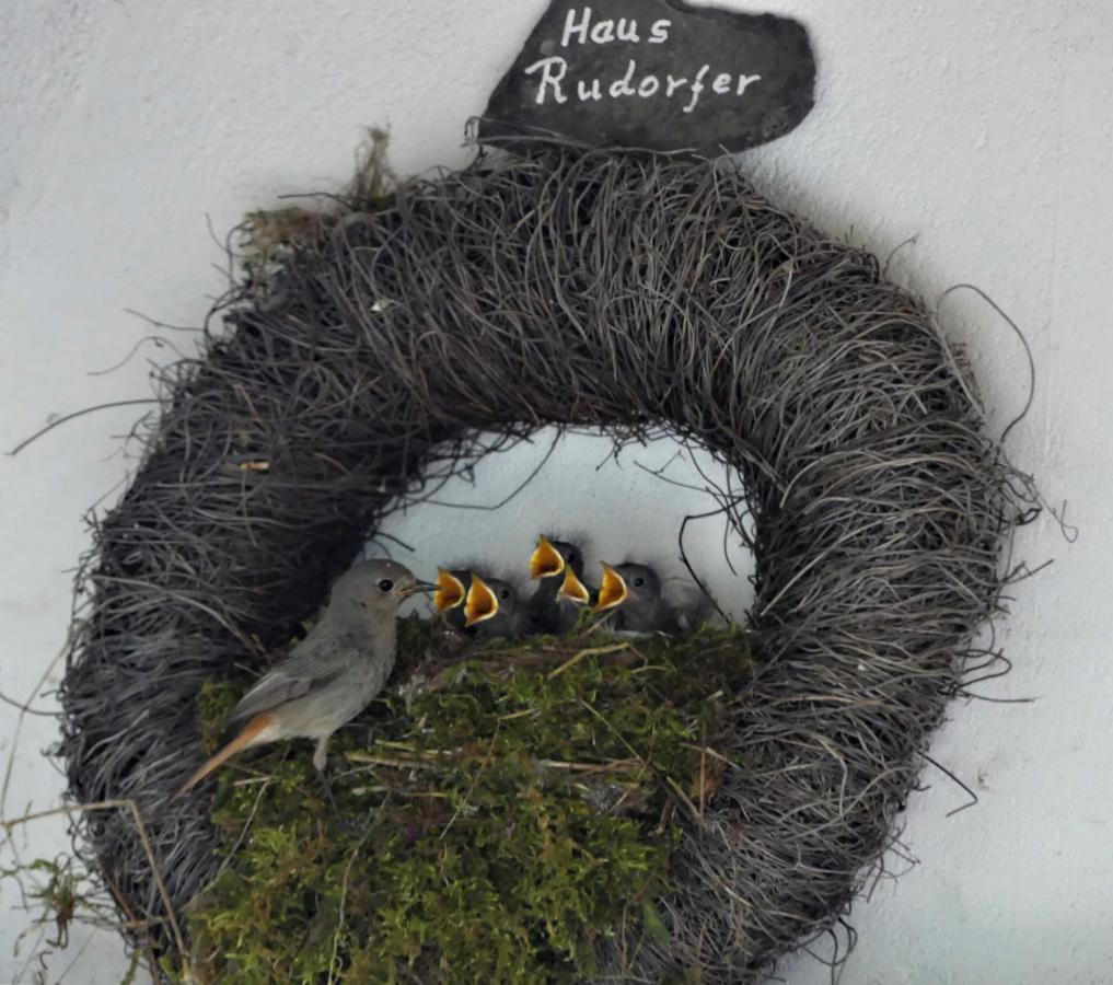Hotel Ferienweingut Rudorfer Valwig Exterior foto