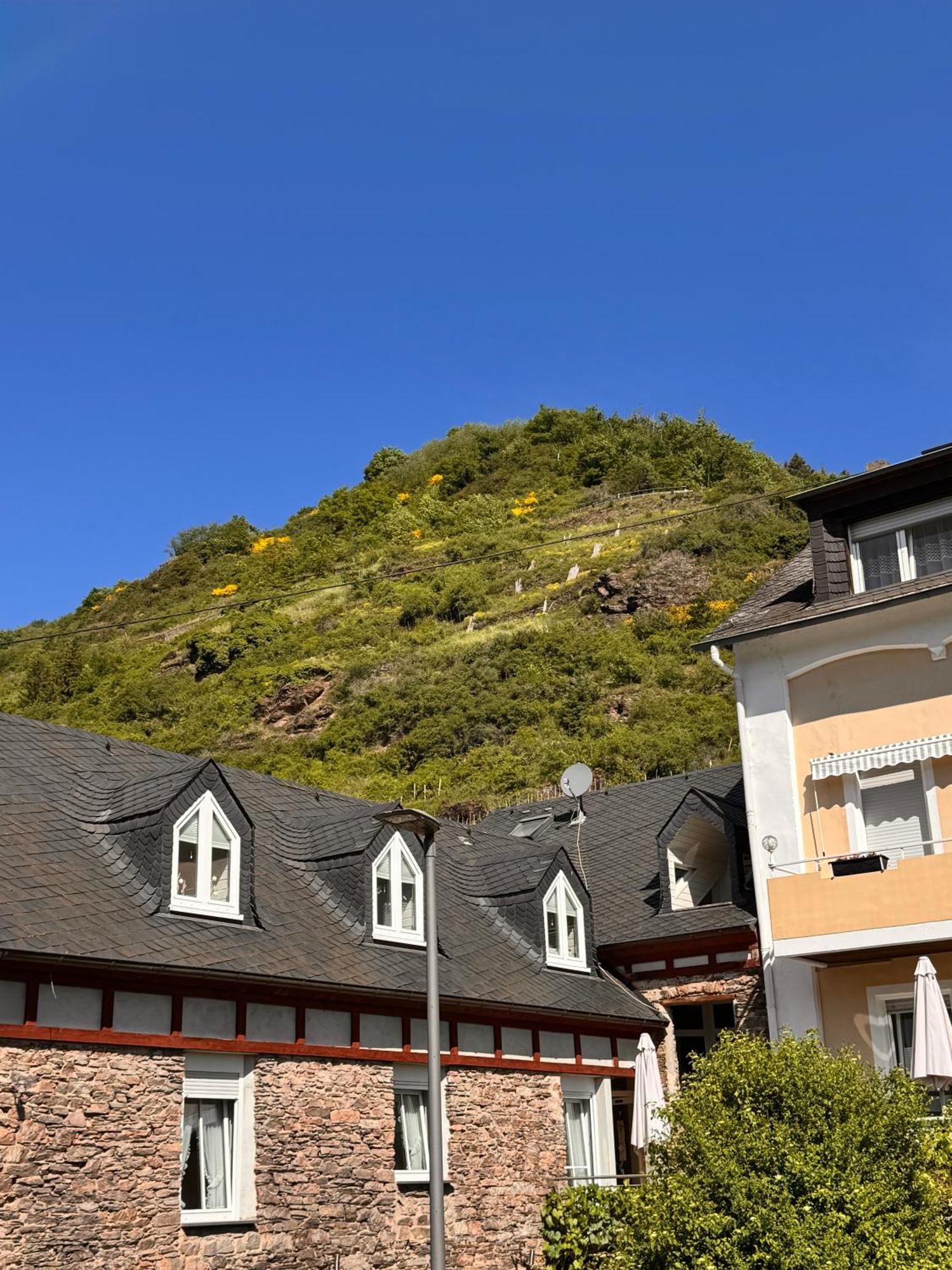 Hotel Ferienweingut Rudorfer Valwig Habitación foto